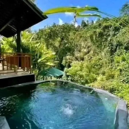 Pondok Kungkang Villa 2 Ubud Zewnętrze zdjęcie