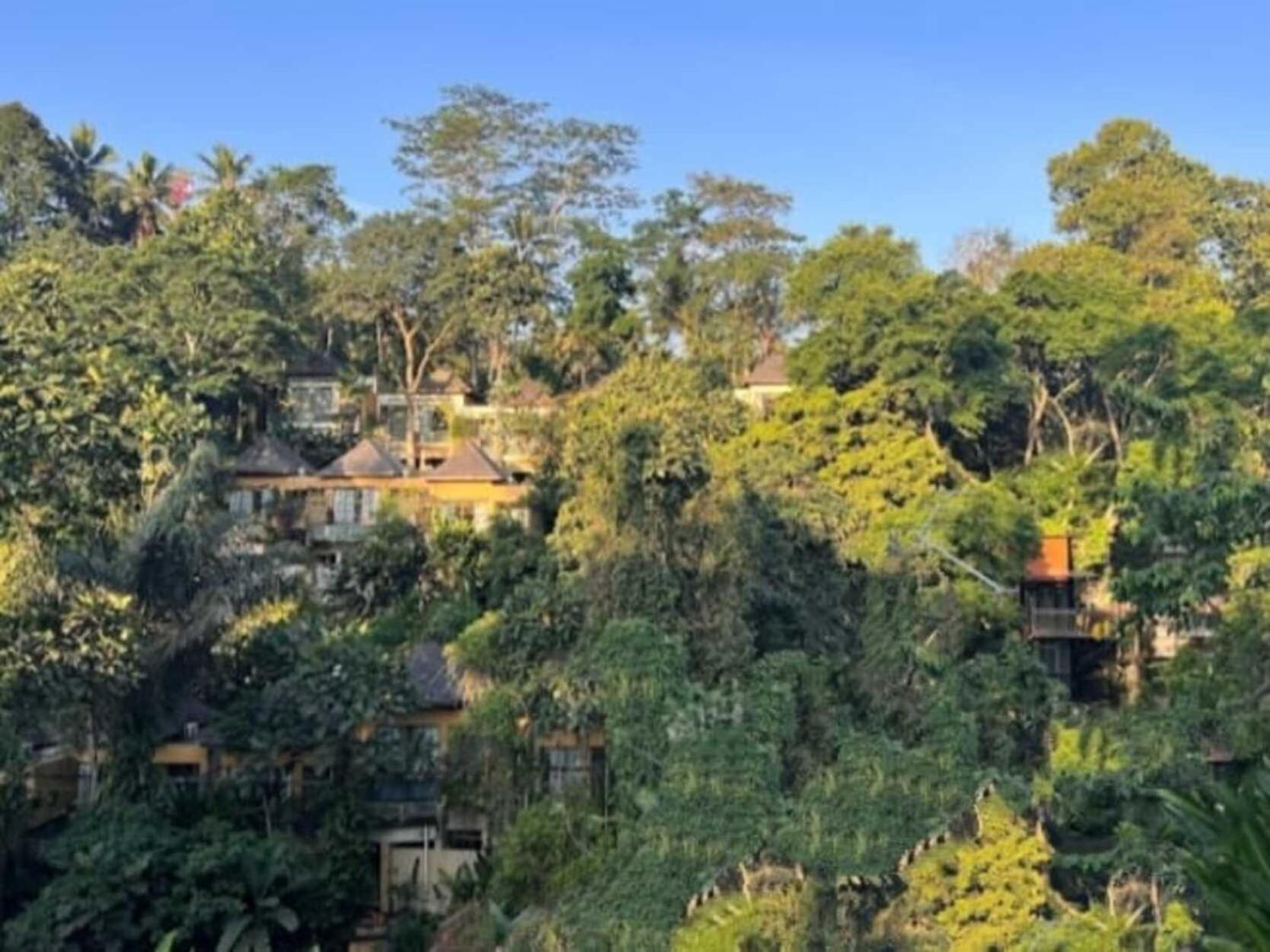 Pondok Kungkang Villa 2 Ubud Zewnętrze zdjęcie