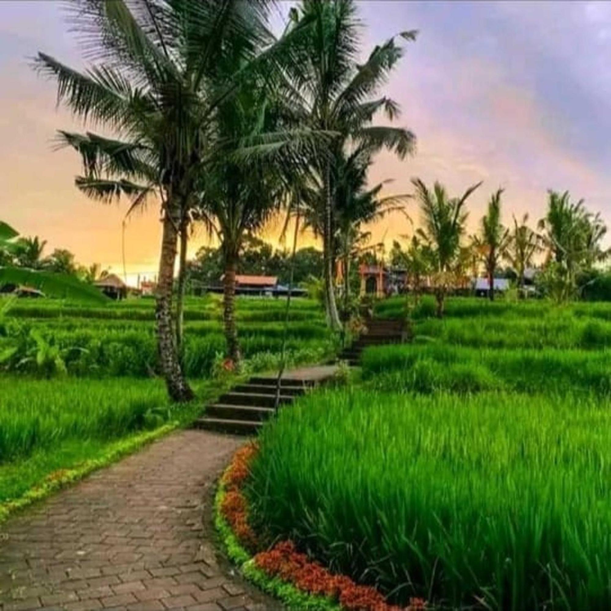 Pondok Kungkang Villa 2 Ubud Zewnętrze zdjęcie